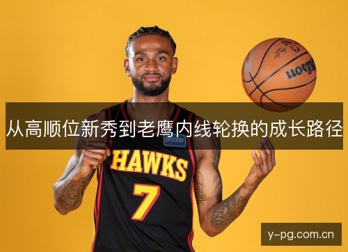 从高顺位新秀到老鹰内线轮换的成长路径