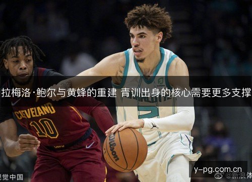 拉梅洛·鲍尔与黄蜂的重建 青训出身的核心需要更多支撑 拉梅洛·鲍尔与黄蜂的重建 青训出身的核心需要更多支撑